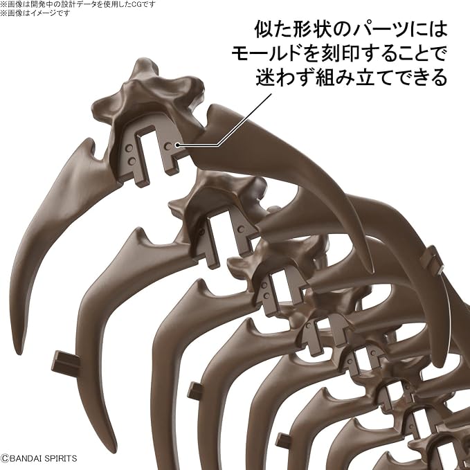 Bandai Hobby Dinosaur Triceratops 1:32 Modelo Kit miniatura 5