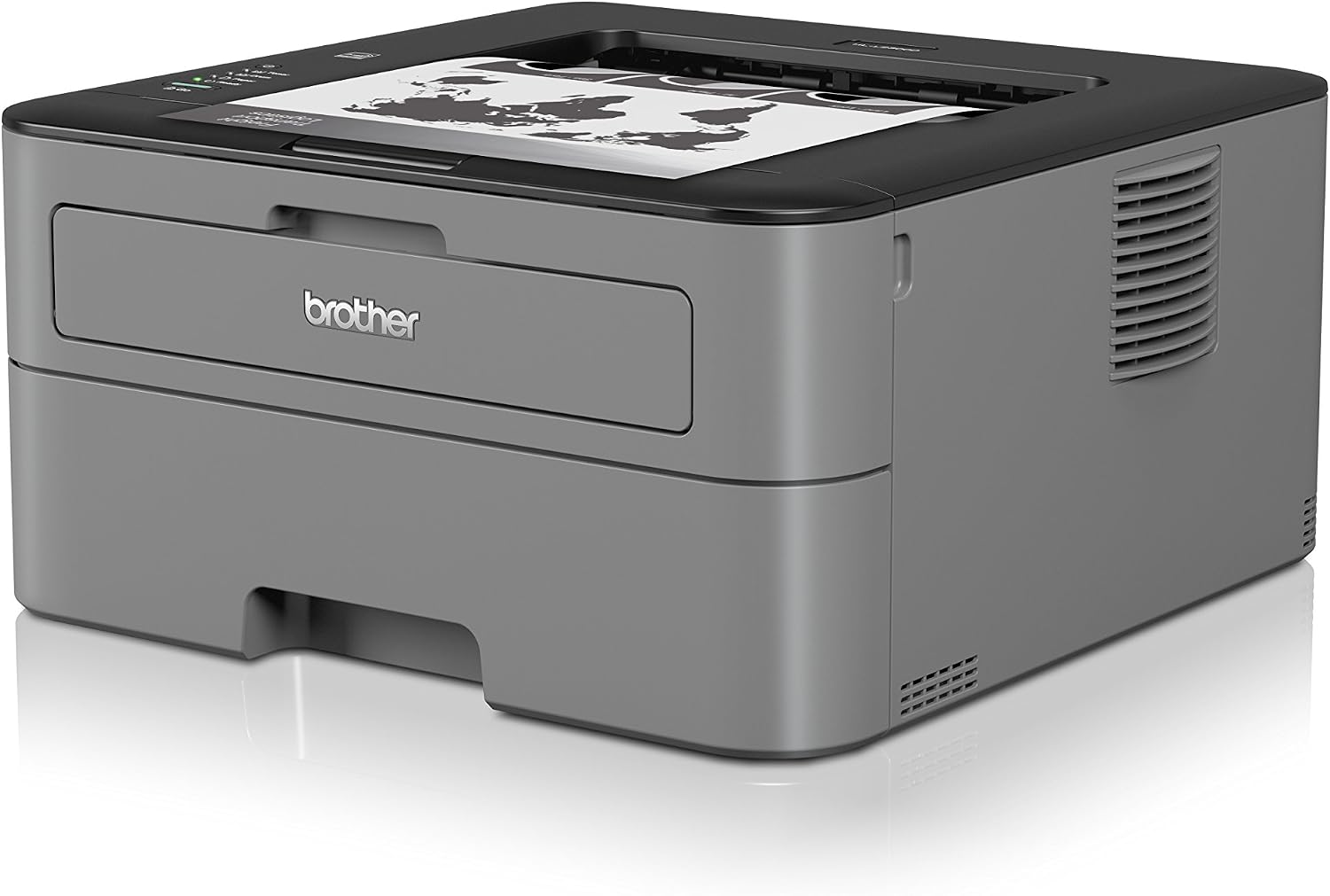 HL-L2300D MFP 2400X600DPI