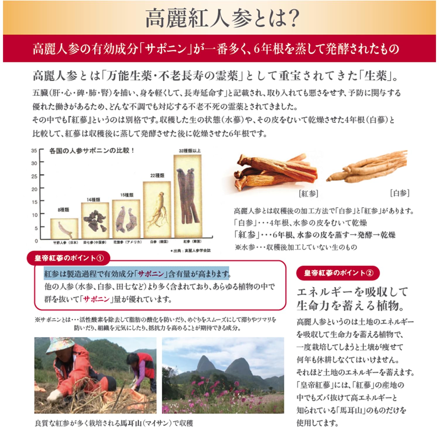 Amazon | 皇帝紅蔘1000 90粒 6年根高麗紅参 プロポリス配合 | 摩訶