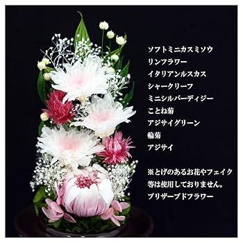 Amazon｜アートフォーシーズン仏花 輪菊 茶系 GlassDome 対