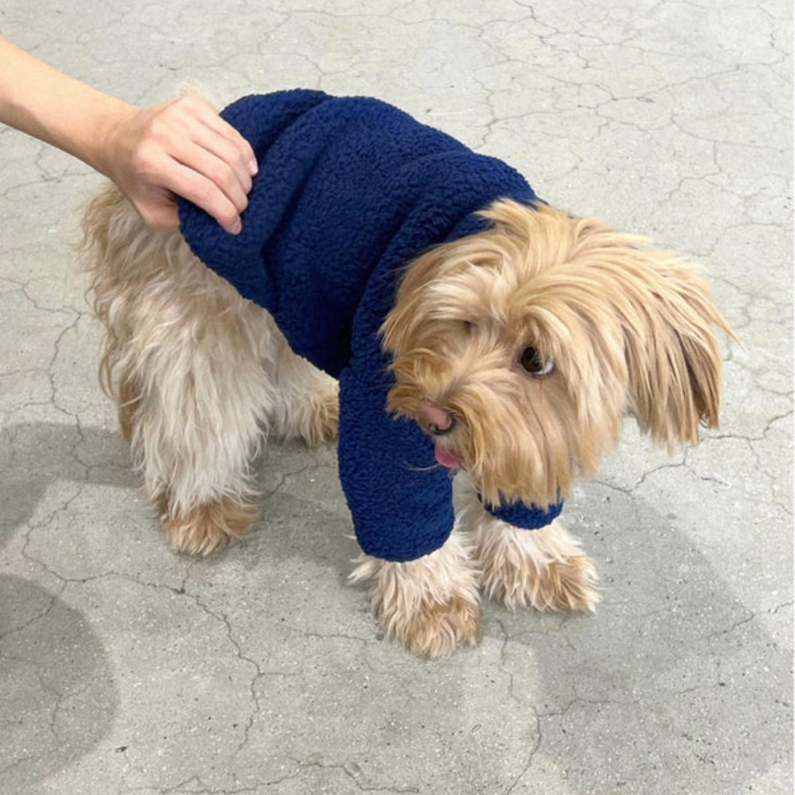 Little Beast Fleece Shirts for Dogs/Cats (Royal Fleece, XXX-Large)