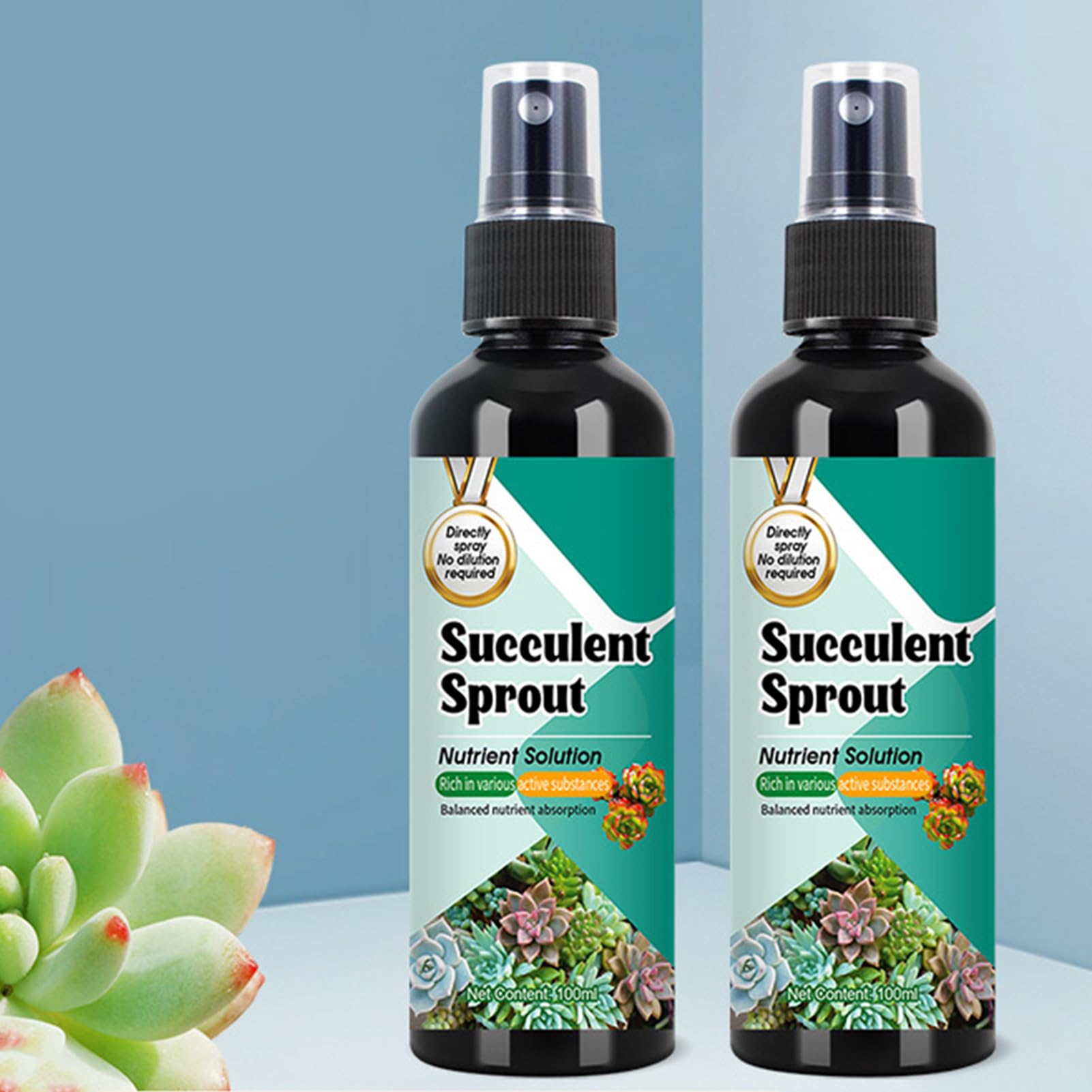 Kakteen Dünger | Luftpflanzen Dünger - 100ml Sprungkraft Booster Langzeit-Spray Für Wachstum & Vermehrung Bei Topfpflanzen Innen & Außen