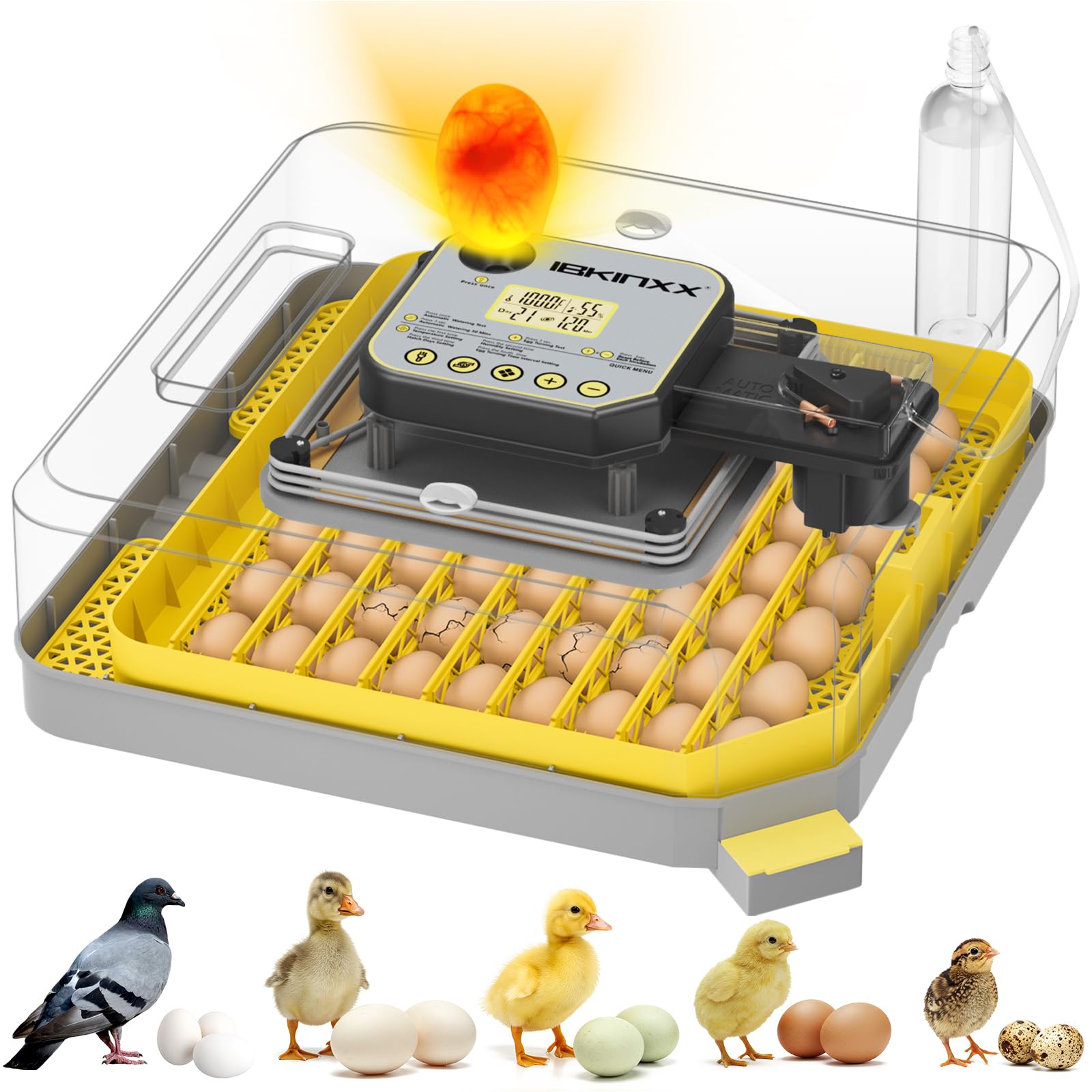 IBKINXX Incubator for Hatching Eggs-48 Egg Capacity, Auto Egg Turner & New Auto Precision Humidity Control System, 360° Clear Viewing for Chicken,