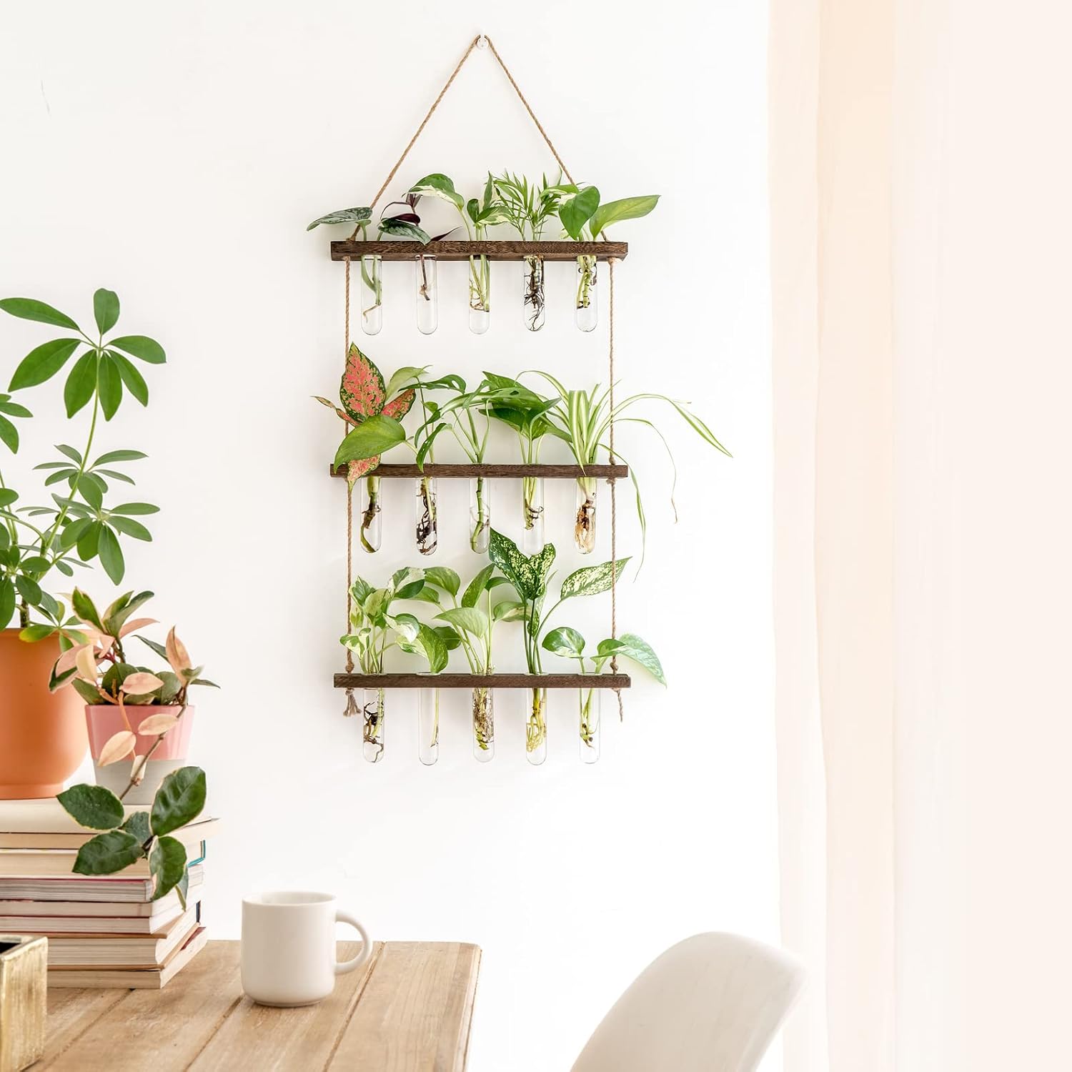 Mkono Plant Propagation Tubes, 3 Tiered Wall Hanging Terrarium with Wooden Stand Flower Vase Glass Planter Stations for Hydroponic Home Garden Office Decor Plant Lover Gift