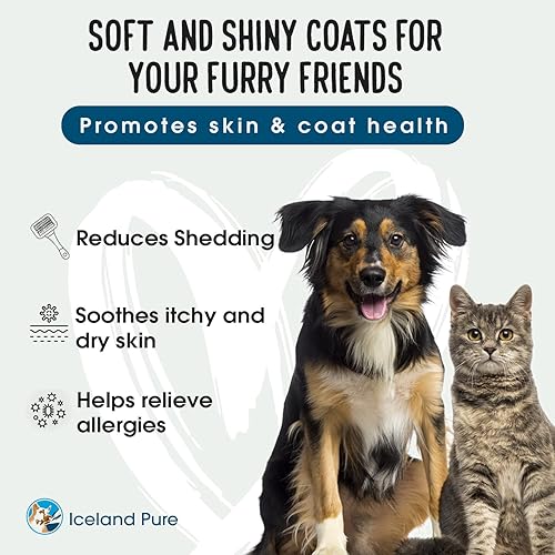 Miniatura 4 de Iceland Pure Aceite de Anchoa de sardina, capturado en la naturaleza, 1597 mg de Omega 3 por cucharadita, grado farmacéutico sin perfume, para