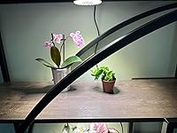 Review Image by J-P J-P