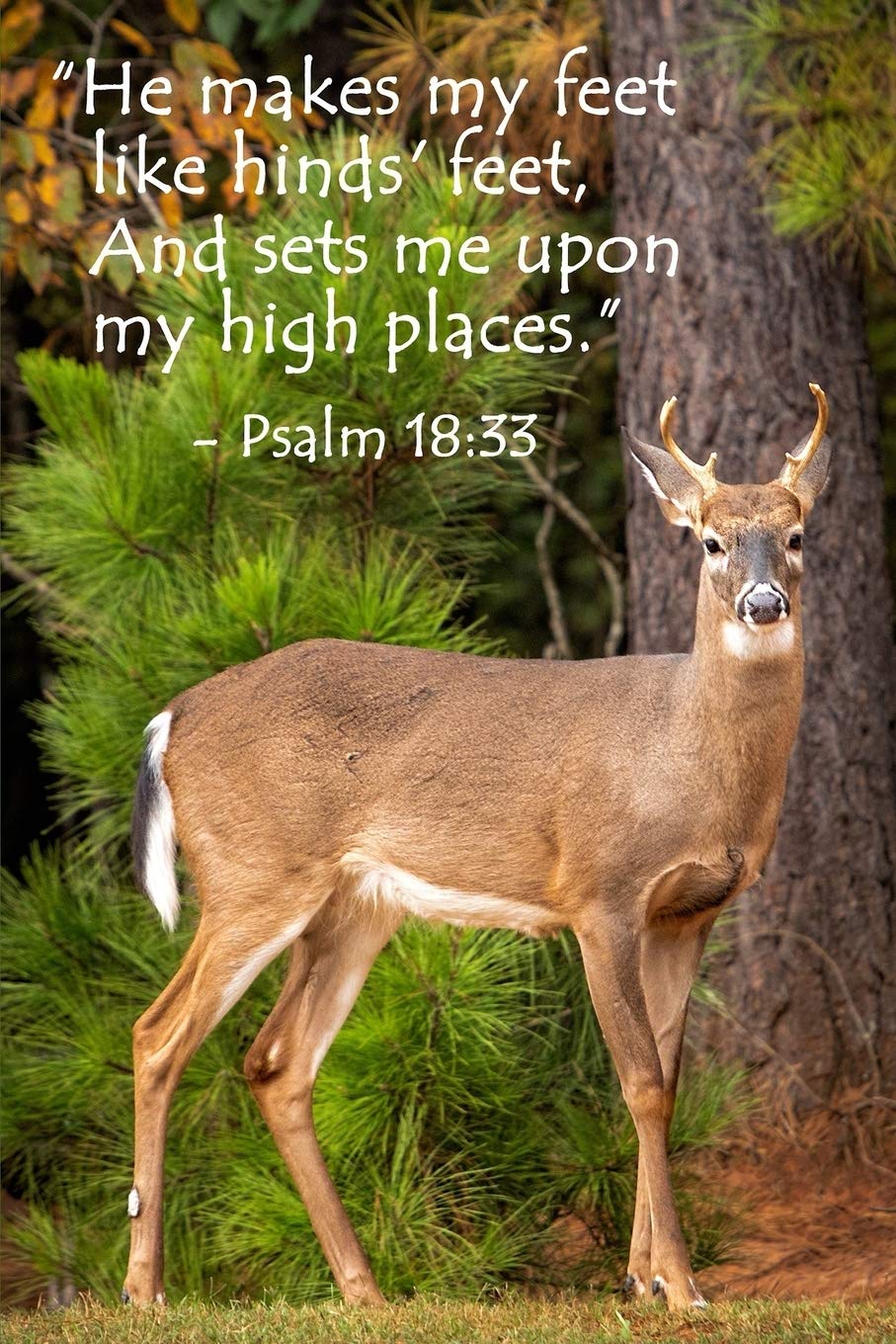 Psalm 18:33 Scripture Journal: 120 page, 6" x 9", lined, verse footers, original, copyrighted, deer photograph on cover by author, paperback journal