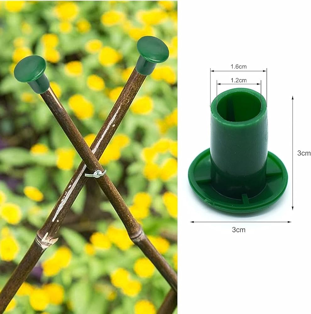 71BTuViBcNL._AC_UF1000, 71BTuViBcNL._AC_UF1000,