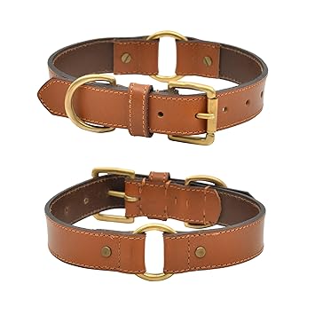 Cavaldii ITALIA Dog Collar Made Genuine Leather with Antique Metal Buckle and D Ring, Waterproof Dog Collar(TAN)