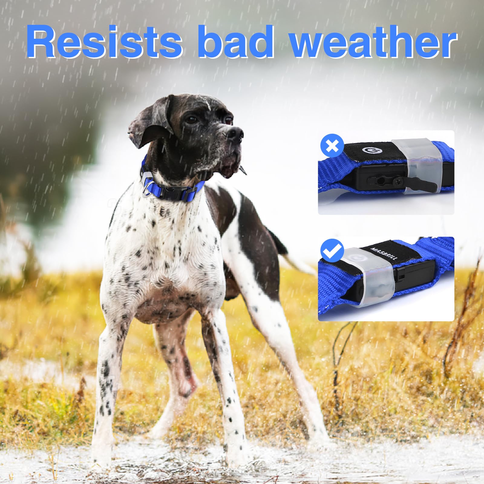 MASBRILL Collare Luminoso per Cani, Collare Cane LED Ricaricabile e Impermeabile, 3 Modalità d'ardore e Misura Regolabile Adatto per Cani di Taglia Piccola Media Grande, Blu L