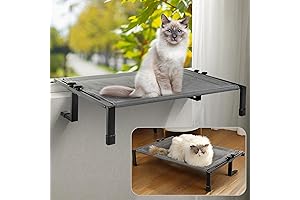 CZPET Cat Window Perch Outdoor: A Perfect Perch for Your Feline Friend