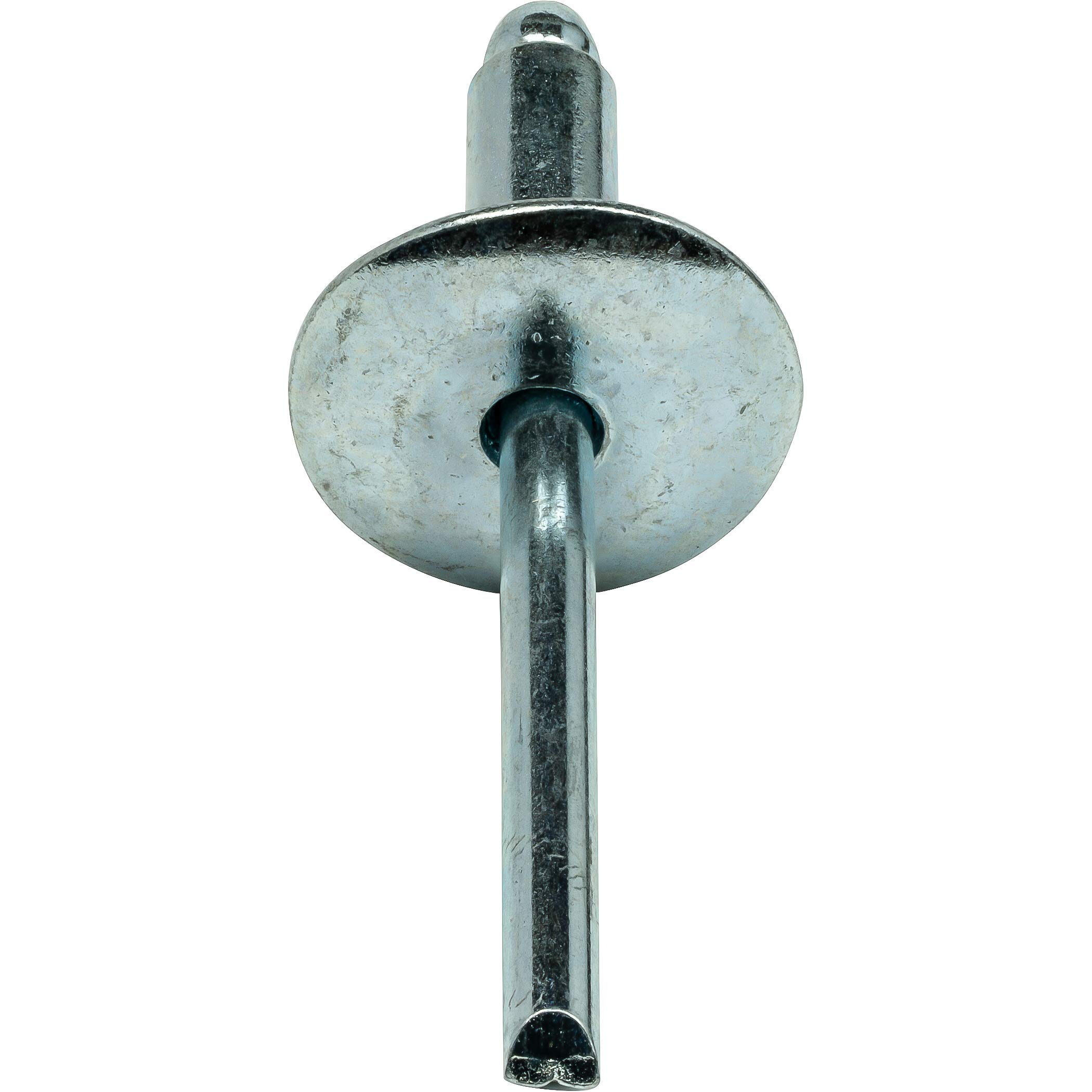 Amazon.com: Fastenere Large Flange Pop Rivets -1/8