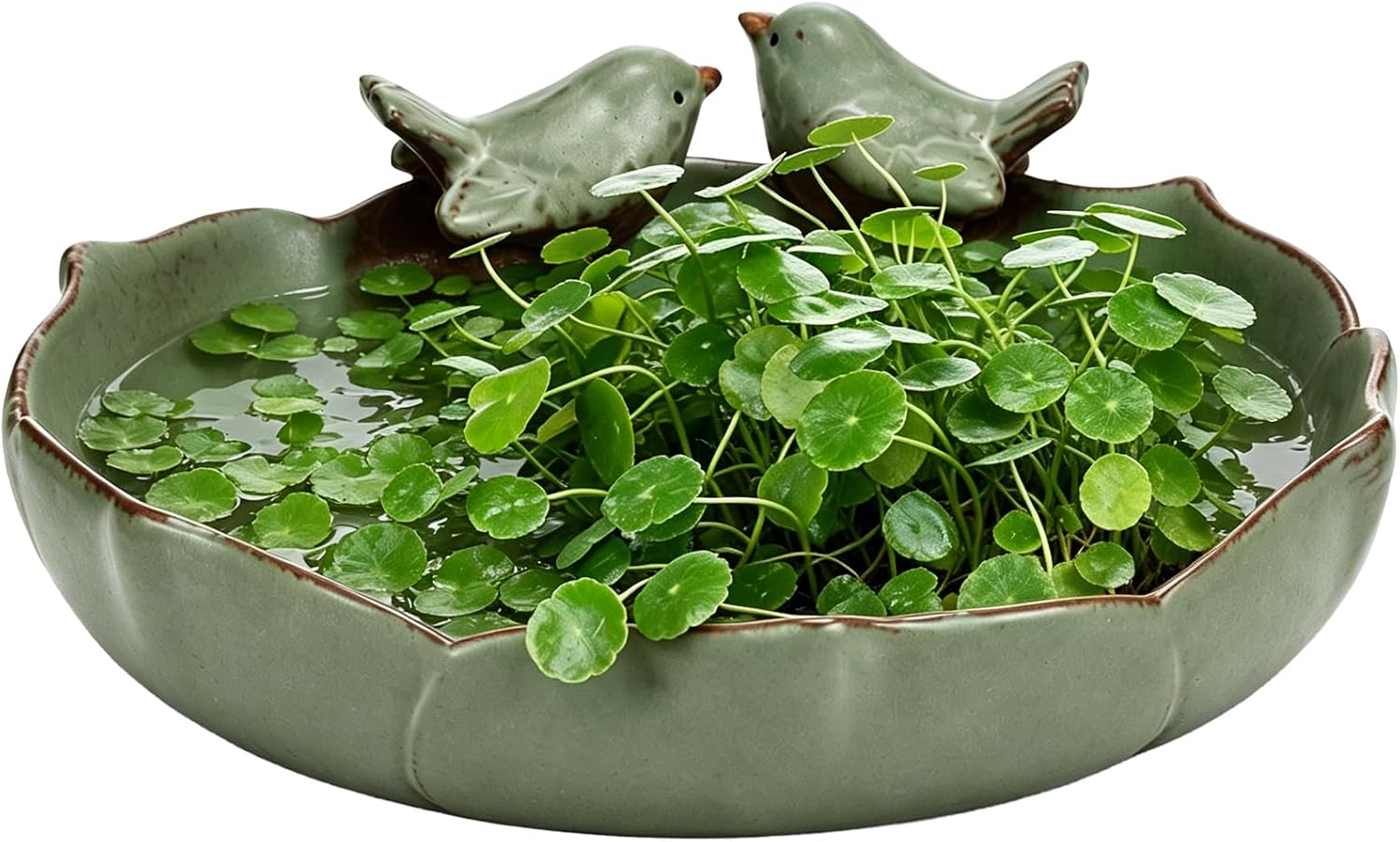 Ceramic Bird Bath Bowl with Lotus Leaf Design, 9.4 in, 3.3 in Deep|Songbird Rim Accents, Sunflower Pattern, Natural Green Finish, Easy-Clean Construction, Hydroponic Planter, Patio Decor