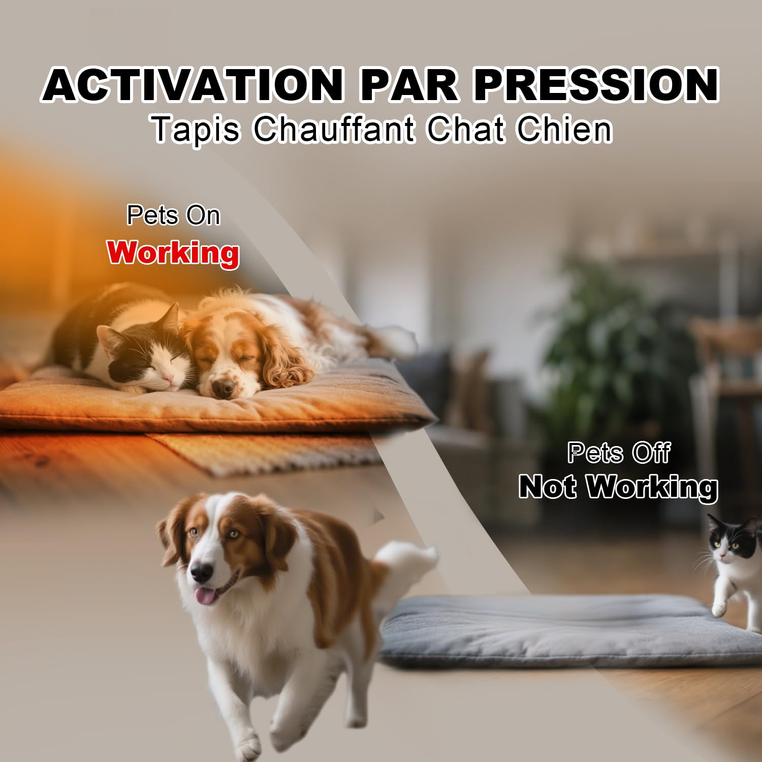 uncn Tappetino riscaldante per cane e gatto attivato a pressione 45×56 cm | Cuscino riscaldante con cordino resistente alla masticazione – Temperatura regolabile – Washable
