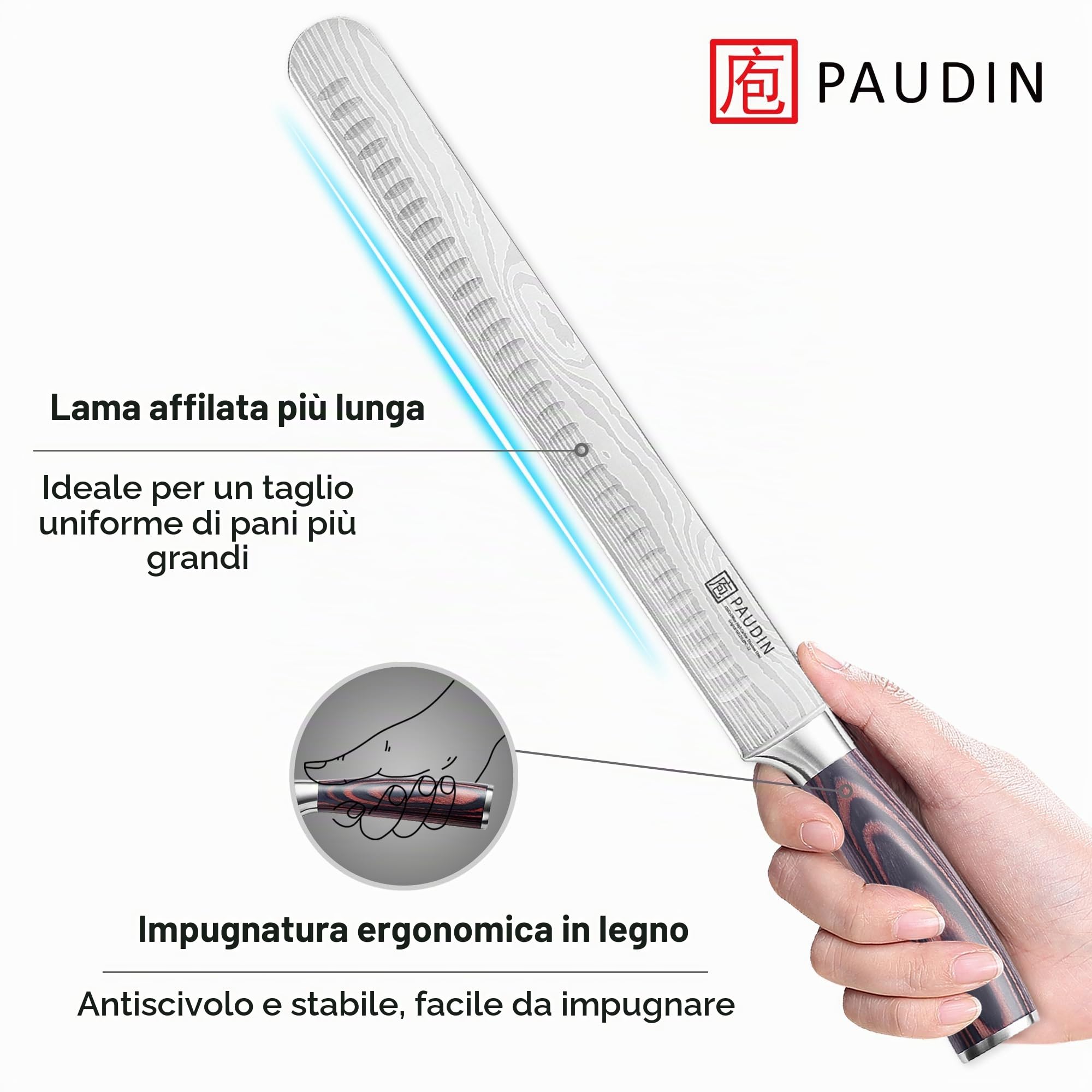 PAUDIN Schinkenometro bere coltello da 30 cm, coltello da cucina per prosciutto, coltello da pesce professionale fatto in acciaio inossidabile ad alta qualità con impugnatura pakkaholz ergonomica