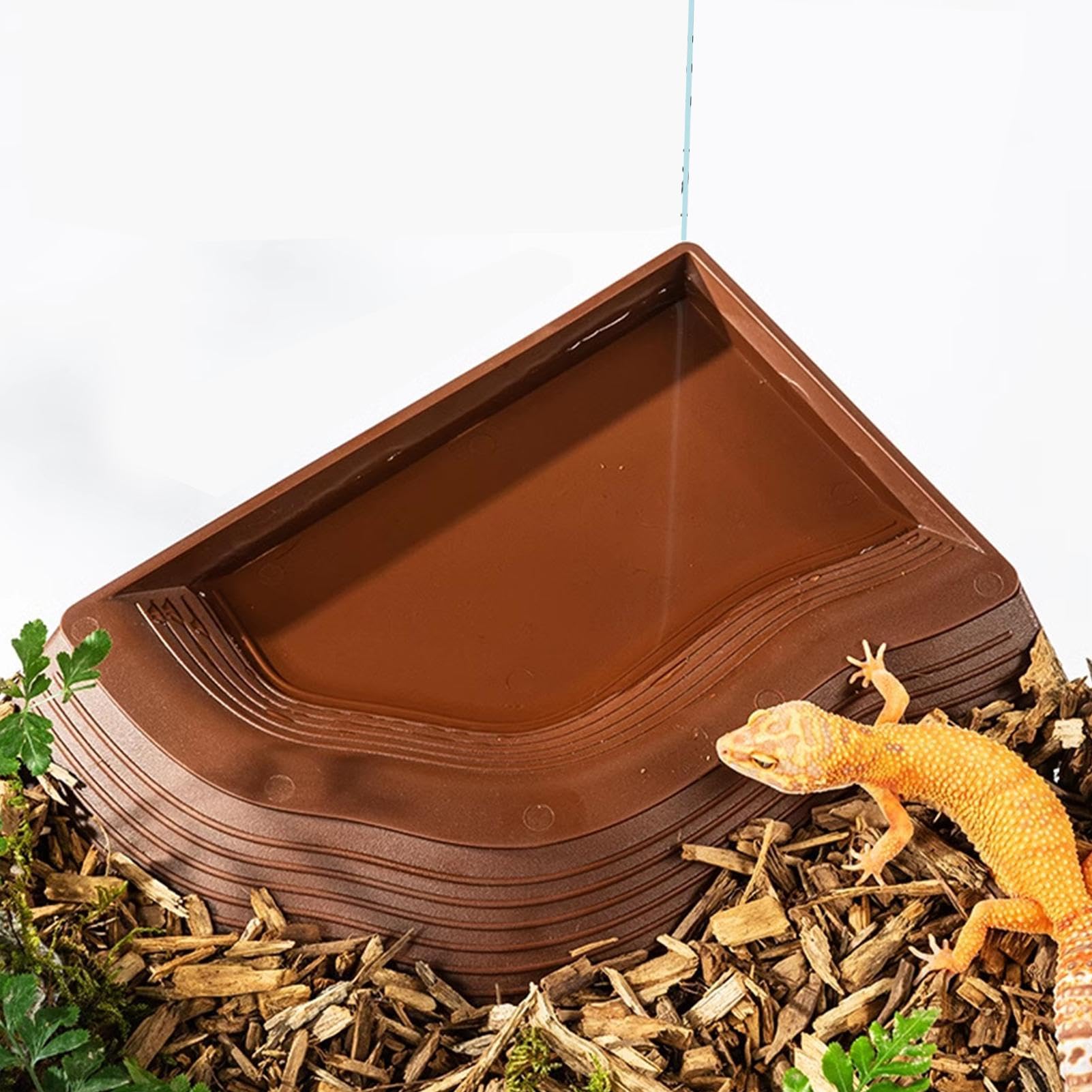 Amazon | 亀の水浴びカメのプール |亀の湯皿 | 亀の湯皿亀の