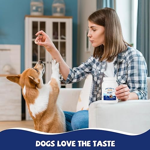 Miniatura 4 de Suplemento para el cuidado de la cadera y las articulaciones con glucosamina, condroitina, MSM para perros de todas las razas y edades, sabor a