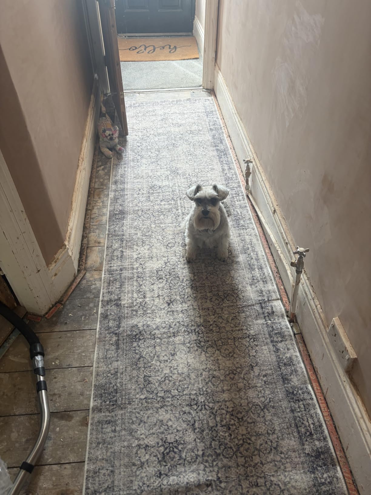 Customer photo