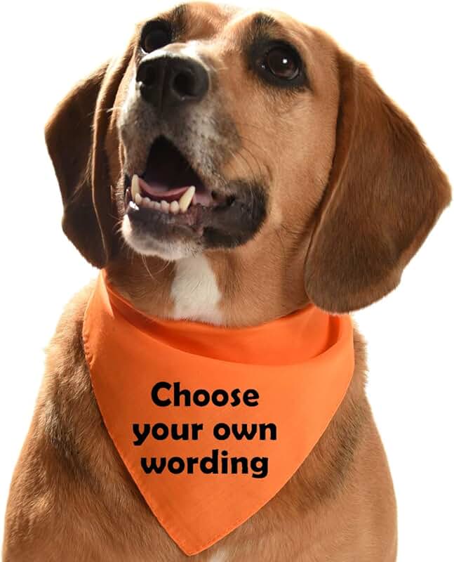 Amazon.co.uk Bandanas for Dogs