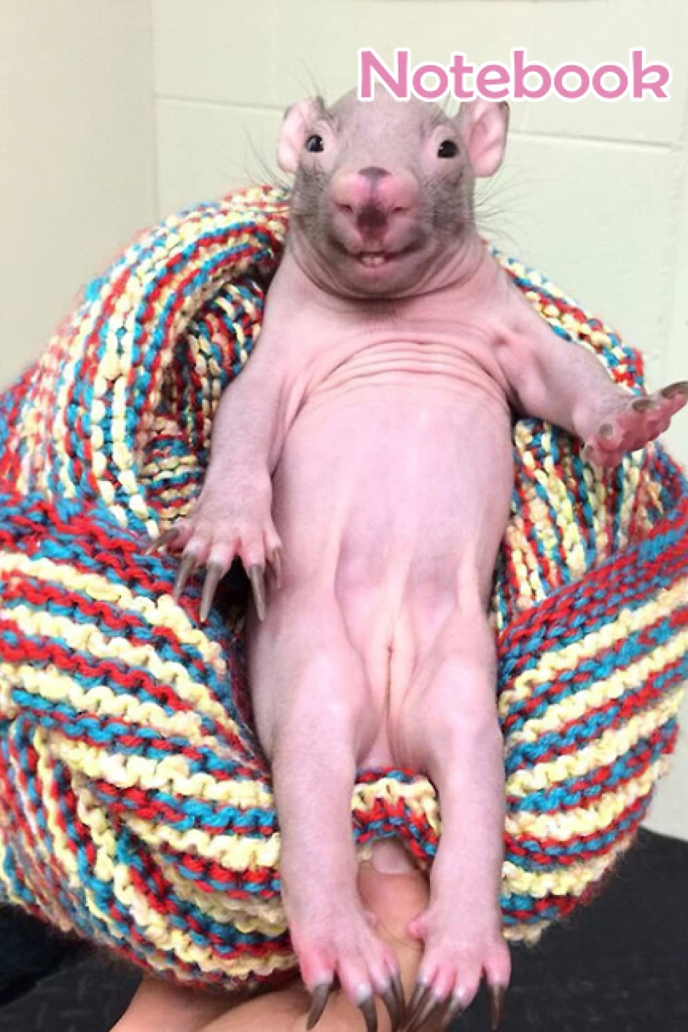 Naked Mole Rat In Chair Notebook: - 110 Pages, In Lines, 6 x 9 Inches