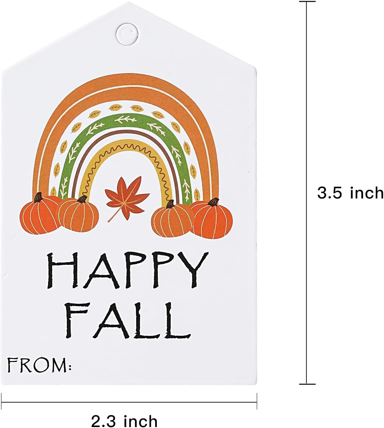 WRAPAHOLIC Fall Gift Tags with String - 100PCS Rainbow Pumpkin Fall Design Paper Tags with 100 Feet Natural Jute Twine for Halloween, Fall, Party Favors - 2.3 x 3.5 Inch image 2