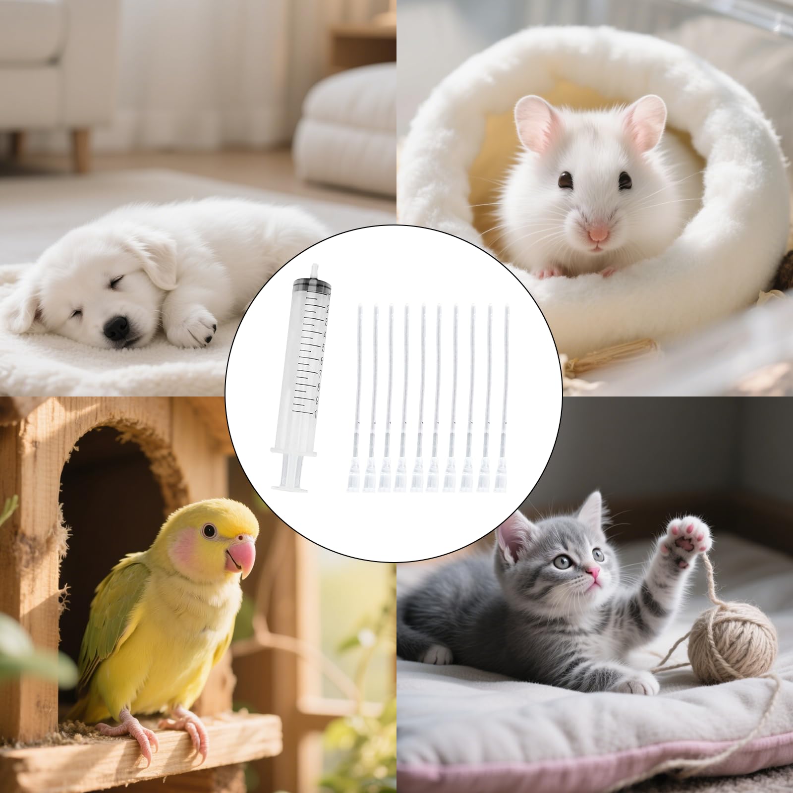 Lot de 11 tuyaux d'alimentation pour jeunes oiseaux avec seringue de 10 ml | Outil d'alimentation à la main pour pigeons, perroquets et bébés oiseaux | Seringue à nourriture avec sonde de