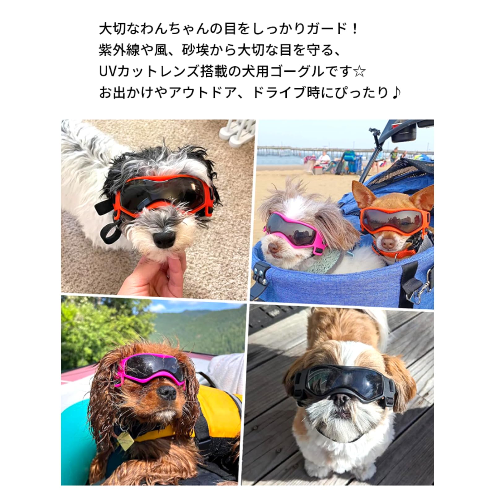 Amazon | 犬 サングラス ペット用 ゴーグル UVカット 紫外線防止 防風