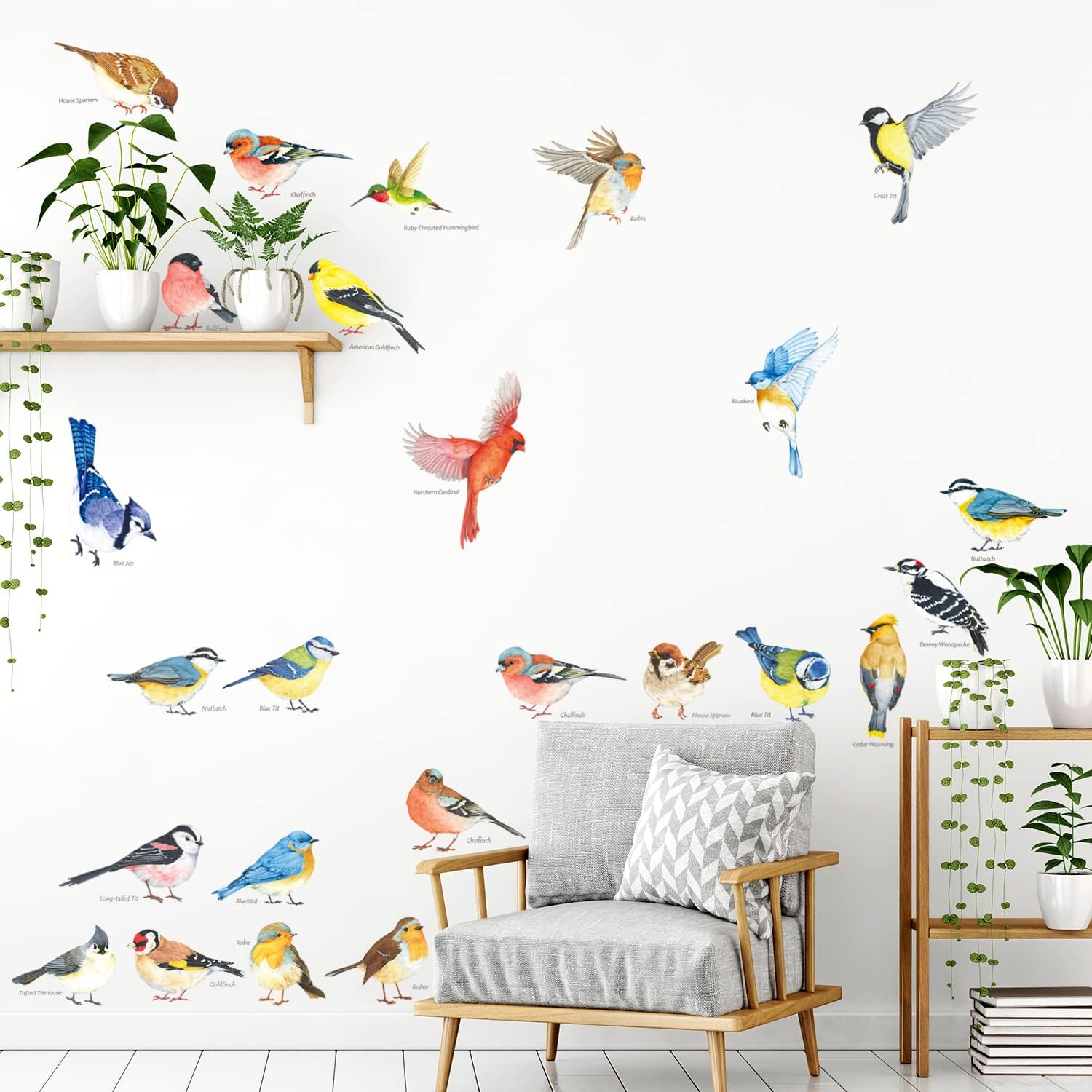 DECOWALL DS4-8063 25 Little Birds Wall Art Decals Stickers Kids Peel and Stick Removable Nursery Bedroom Living Art décor Tree Flying Branch DIY Vinyl Home Decoration Flower Watercolor Colorful