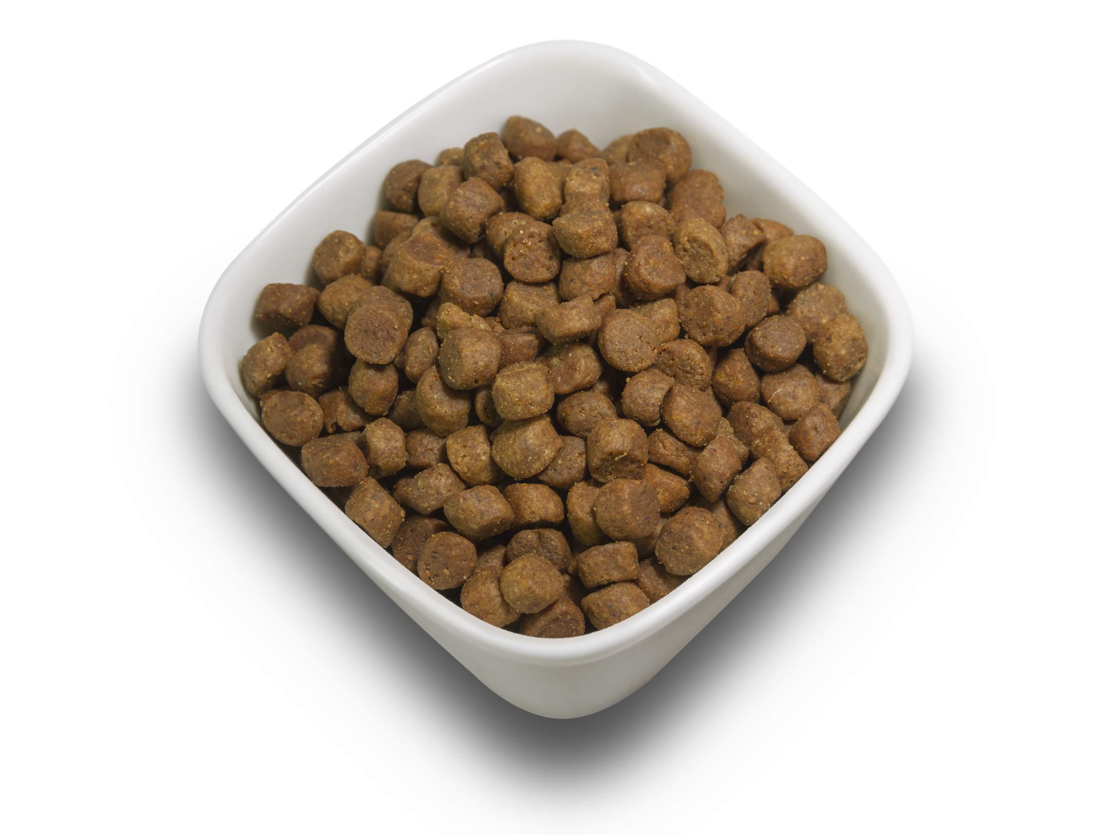 SALiNGO Premium Katzenfutter trocken Sensitive Lamm, Geflügel & Reis für Erwachsene, Sensible Katzen, ohne Zucker und Weizen (2x2kg)