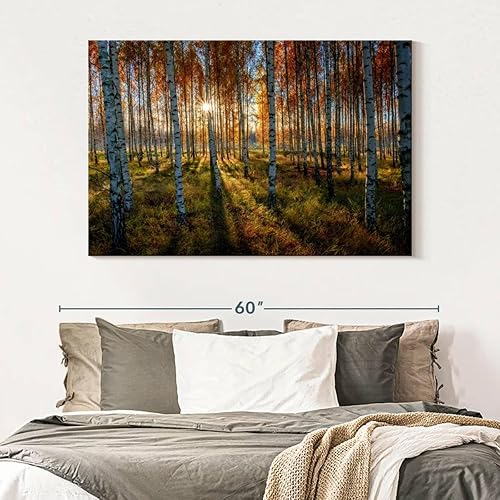Miniatura 7 de Elephant Stock Lienzo de bosque de abedul sueco  1 panel de imágenes de otoño para decoración de pared, arte de pared de bosque, arte de pared en