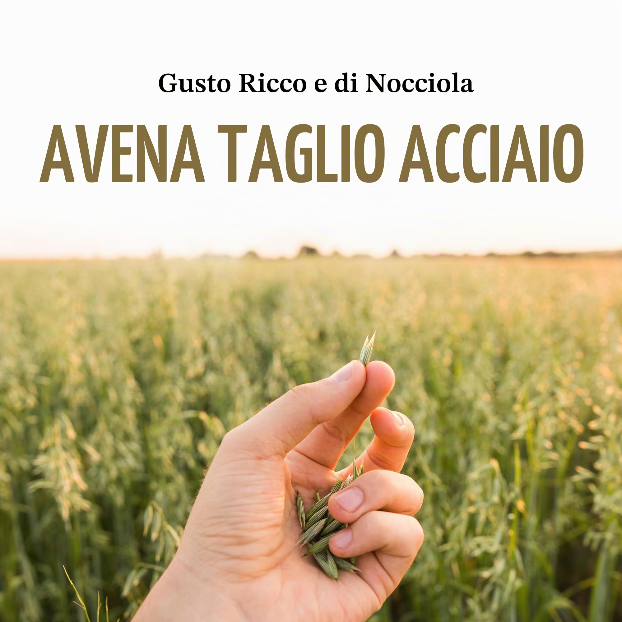 McCann's Farina d'avena irlandese, avena tradizionale tagliata in acciaio, sacchetto da 28 once