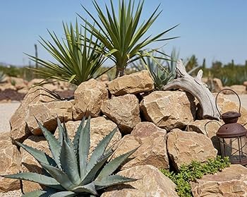 引き取り　割栗石400kg〜◇ロックガーデン　ドライガーデン　アガベみかも石 引き取り 割栗石400kg〜◇ロックガーデン ドライガーデン アガベ