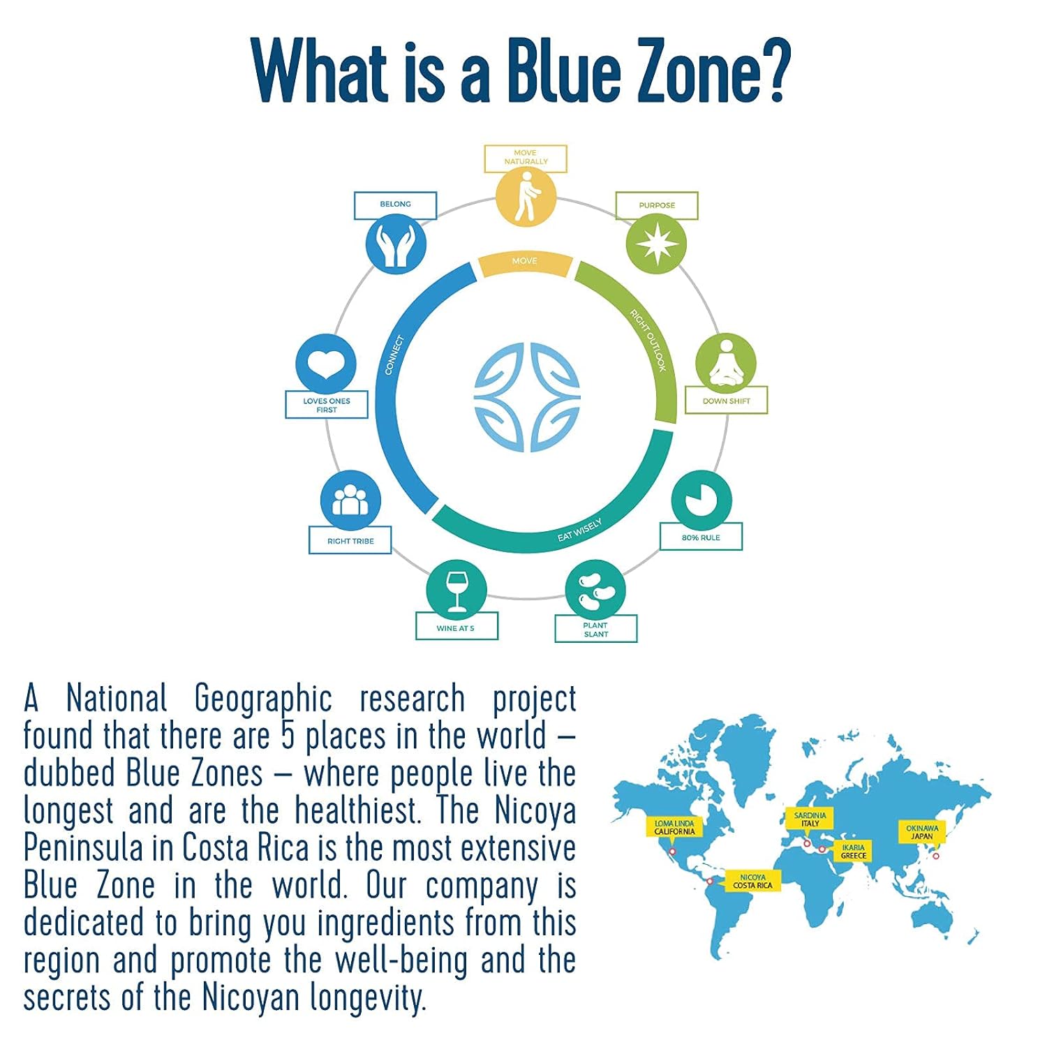 Blue Zones Nicoya - Centenarios Whole Bean Coffee - 100% Arabica Dark Roast, House Blend - Robust Dark Chocolate - All Natural, Gluten & Sugar-Free (12oz/ 340g)