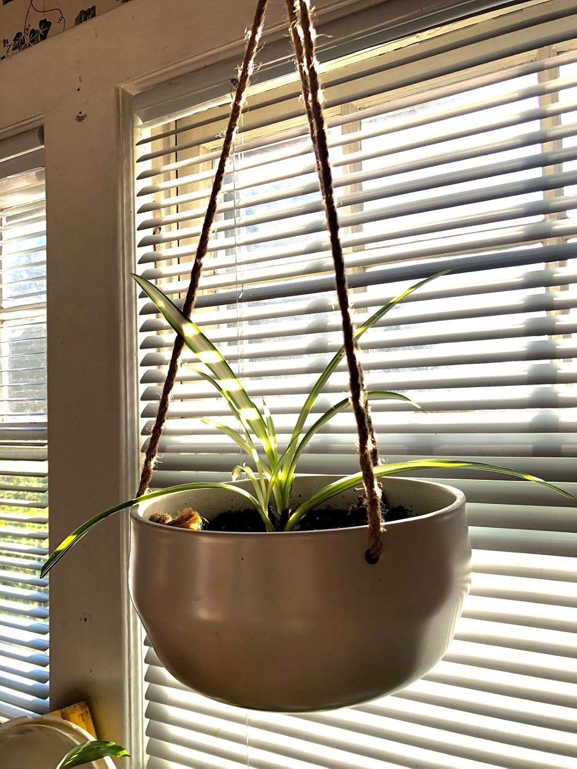 Mkono Ceramic Hanging Planter for Indoor Plants