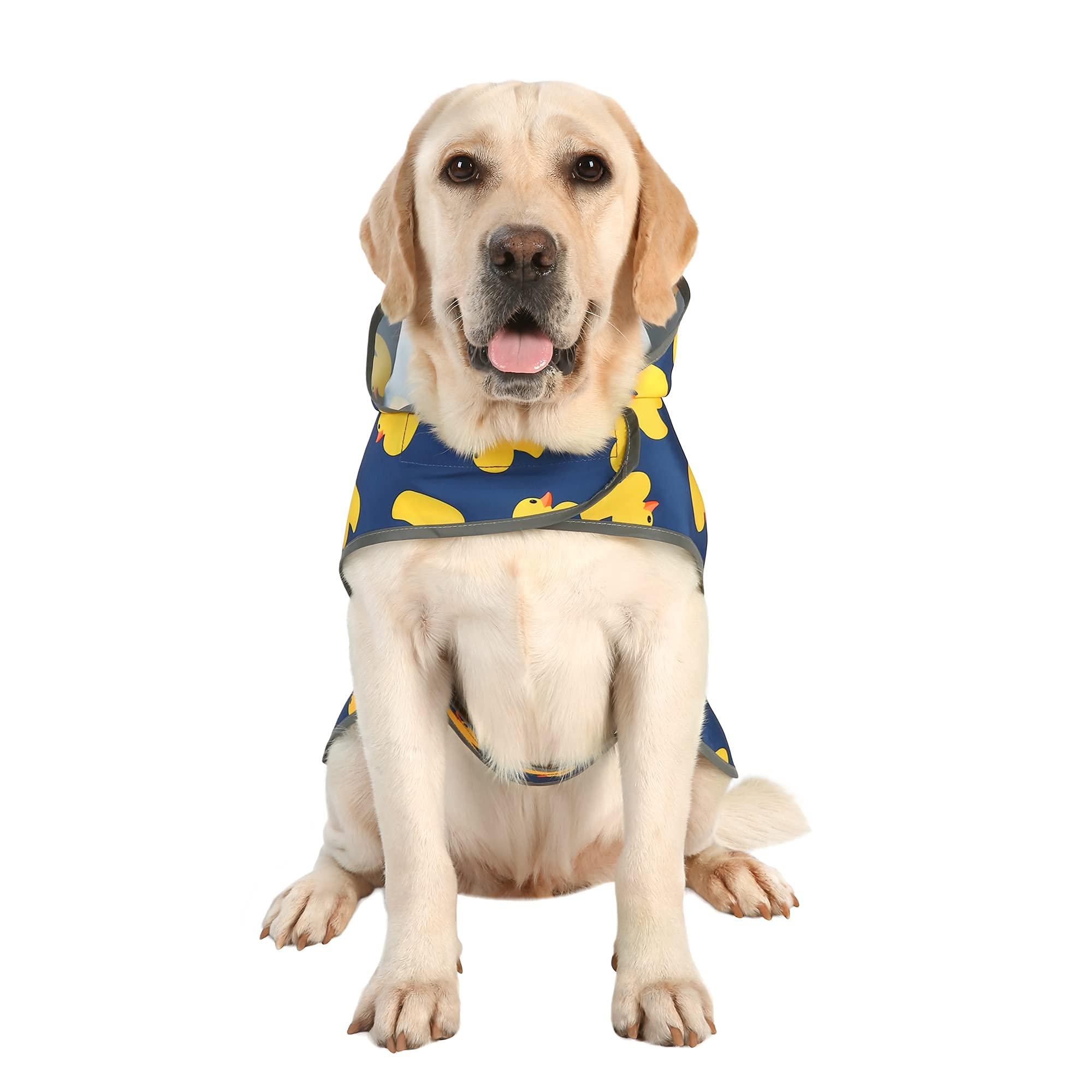 Impermeabile per cani con cappuccio e foro per guinzaglio, impermeabile per cani e cuccioli