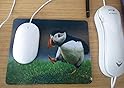 British Birds – Puffin – Qualità del mouse e set di