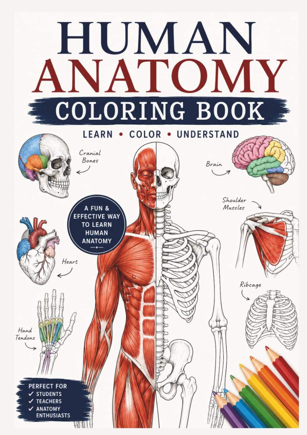 Human Anatomy Coloring Book: Learn Muscles, Bones, Organs & Body Systems Through Creative Coloring