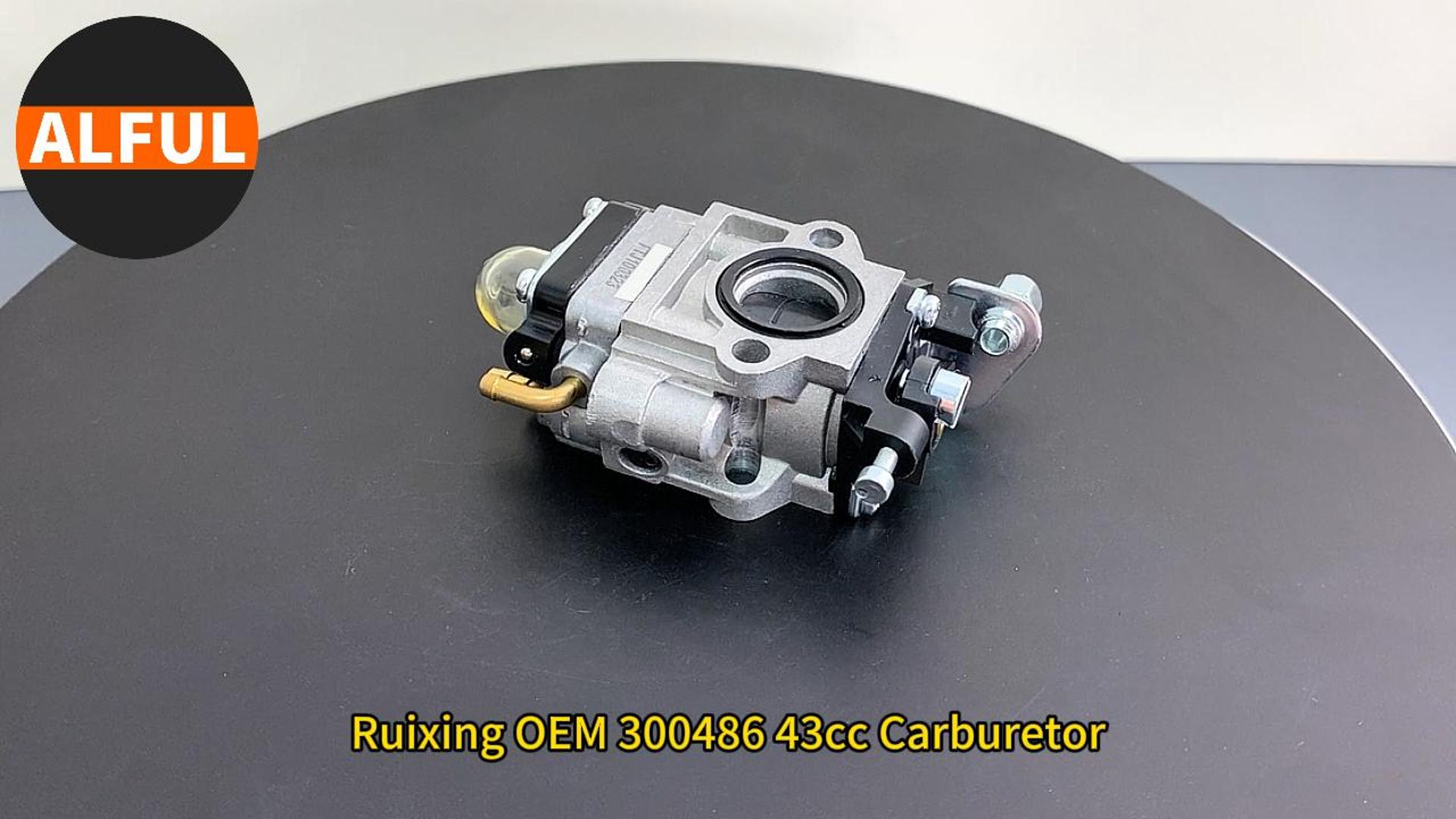 Amazon.com : Ruixing OEM 300486 43cc Carburetor for Earthquake