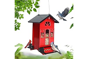 Squirrel Proof Bird Feeders for Outdoors: Country House Series