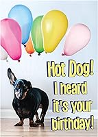 Vista 33 de Glory To Dog Te conseguí un pastel de cumpleaños y estaba delicioso Feliz cumpleaños de La Tarjeta de cumpleaños de perro con sobre de felicitación