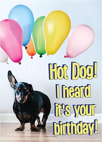Miniatura 33 de Glory To Dog Te conseguí un pastel de cumpleaños y estaba delicioso Feliz cumpleaños de La Tarjeta de cumpleaños de perro con sobre de felicitación