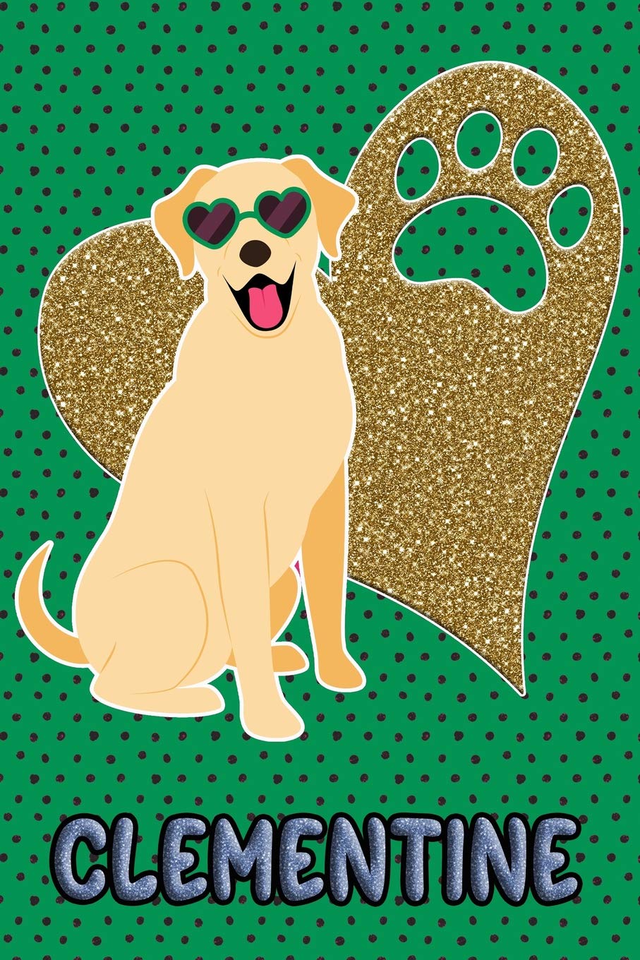 Lab Life Clementine: College Ruled Composition Book Diary Lined Journal Blue