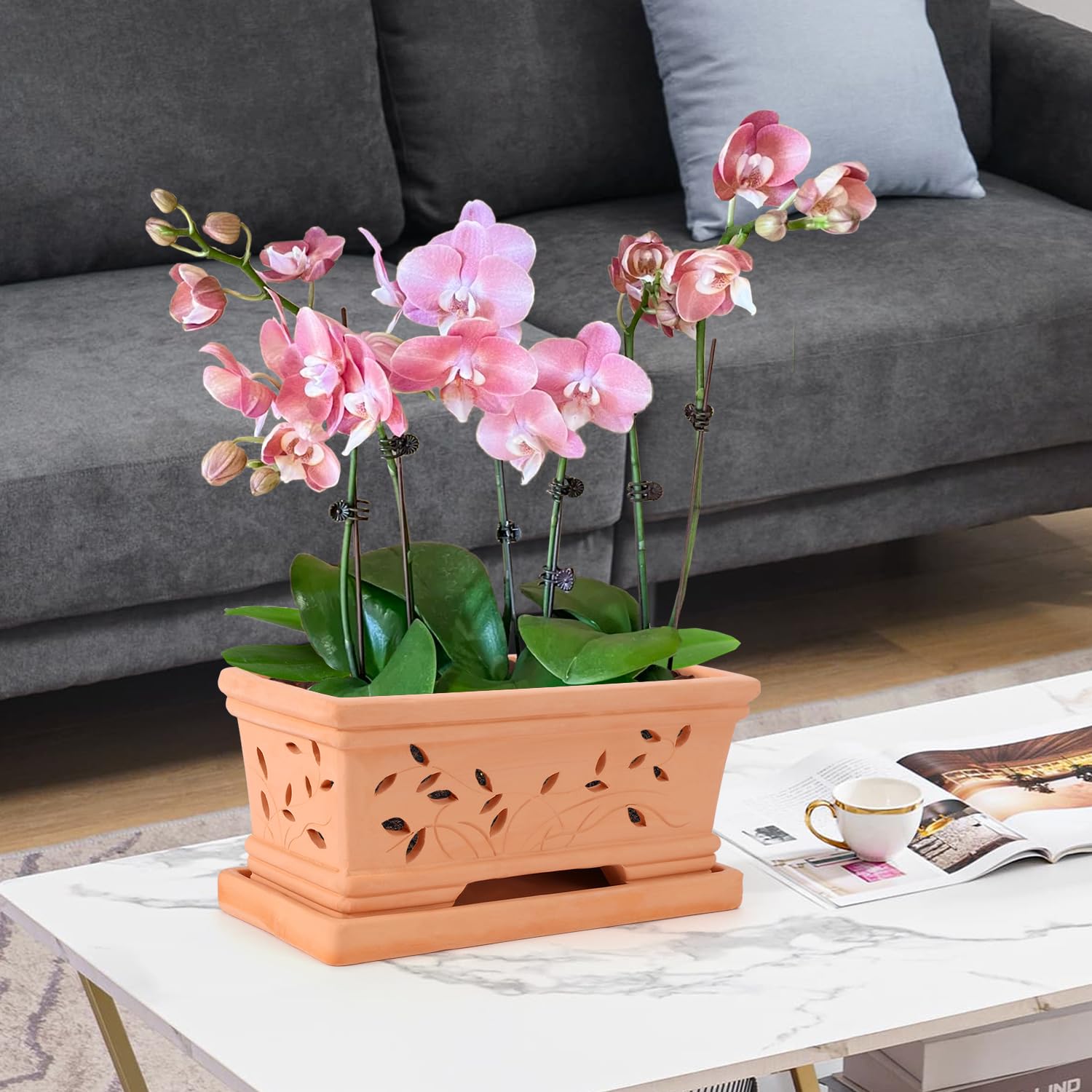 Amazon.com: 12 Inch Terra Clay Orchid Pots with Drainage Holes