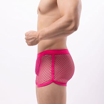 Men Sexy Mesh Boxer Briefs Nylon Hollow Low Waist See Through Trunks Low Rise Stretch Breathable Underwear Boxer