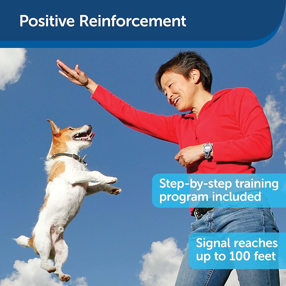 その他 Treat & Train Remote Reward Dog Trainer Treat & Train™ Remote Reward Dog Trainer