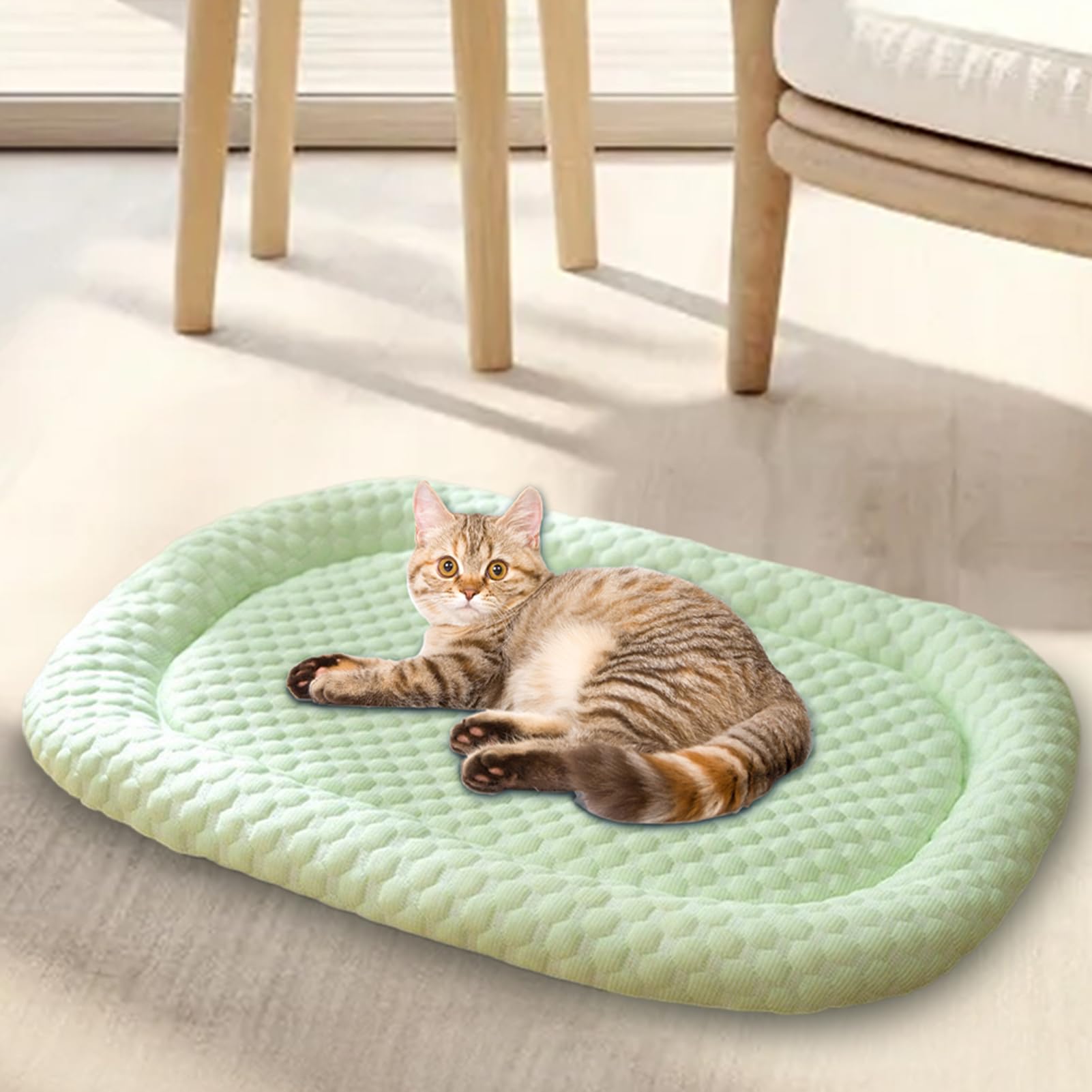 Manta refrescante para Perro, Transpirable y para Perros, Manta Resistente a Las Manchas para días calurosos, Transpirable y cómodo cojín de de Gato para Interiores | Cama de jaula de mascotas resistente a las manchas resistentes al agua para gatos, cojín
