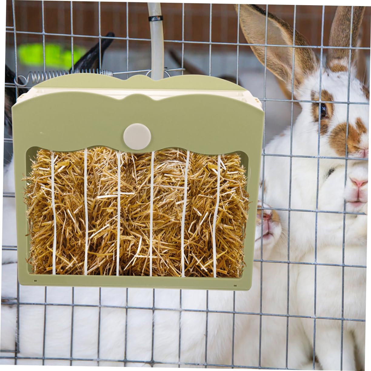 Mangiatoia Per Conigli E Porcellini D'india 2 Pezzi Dispenser in Plastica Contenitore Per Cibo Per Animali Domestici