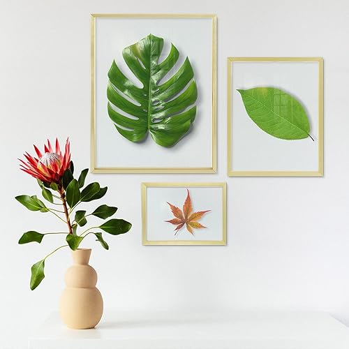 Miniatura 6 de Golden State Art, Marcos flotantes dorados para una foto de 11 x 14, dos de 8 x 10 y cuatro fotos de 5 x 7 pulgadas, cristal transparente que