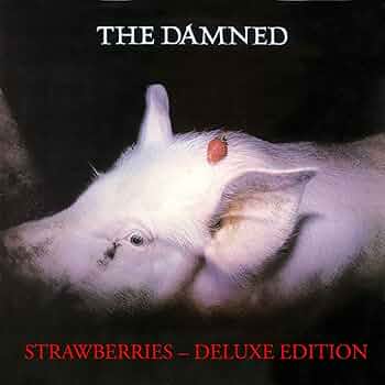 THE DAMNED ストロベリーズ レコード Amazon.co.jp: ストロベリーズ: ミュージック