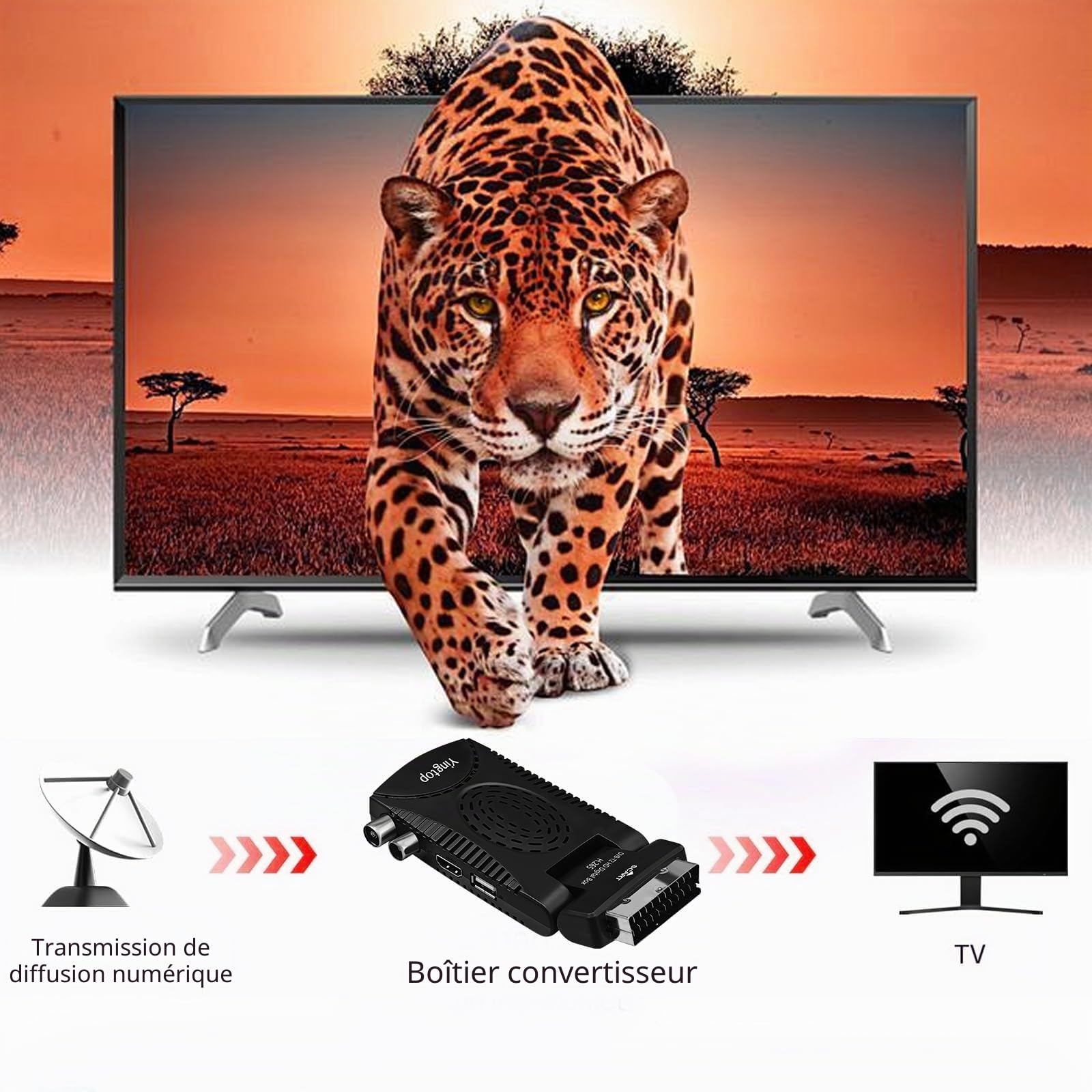 DVB-T2 H.265 Mini
